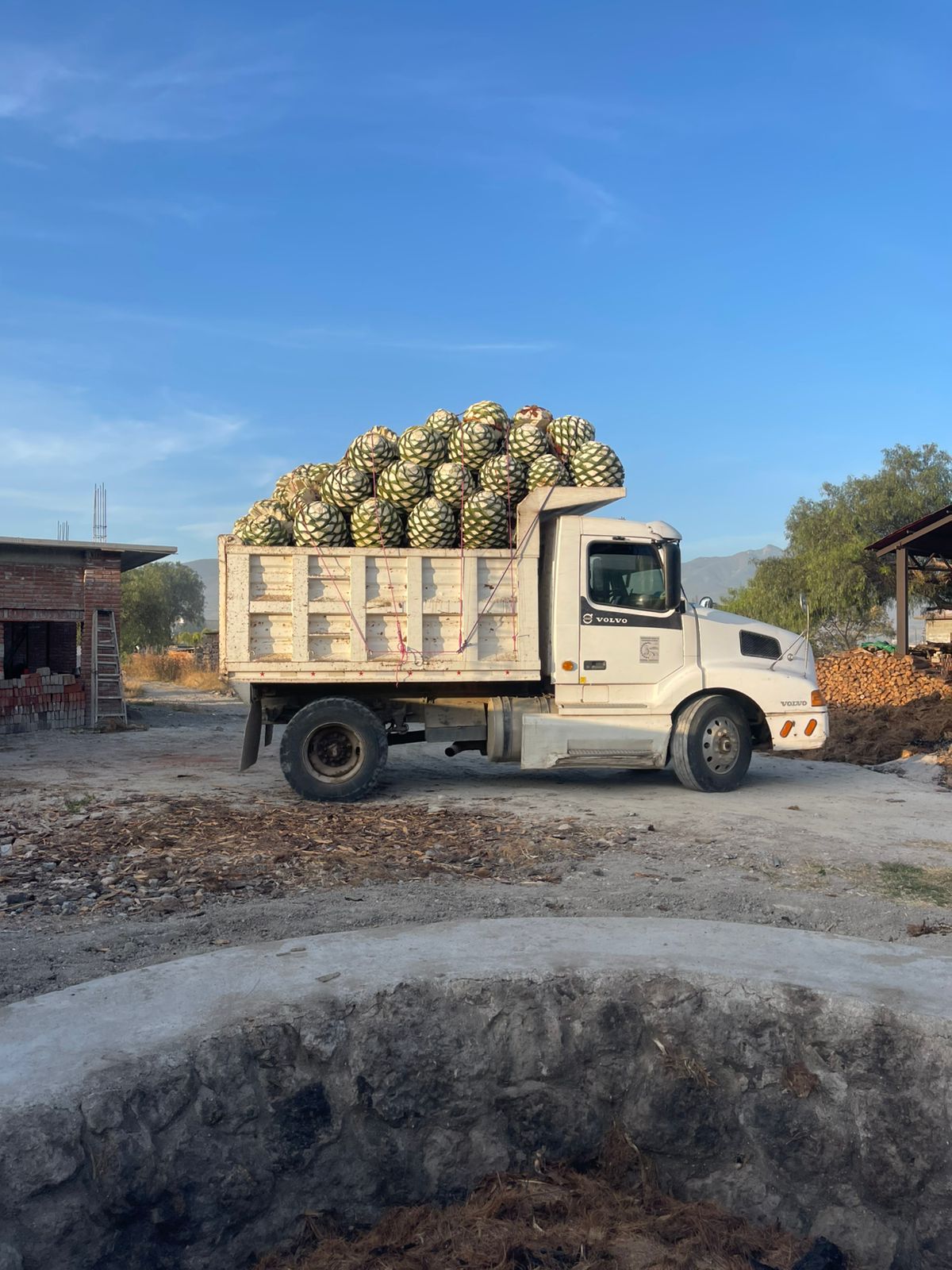 Producción