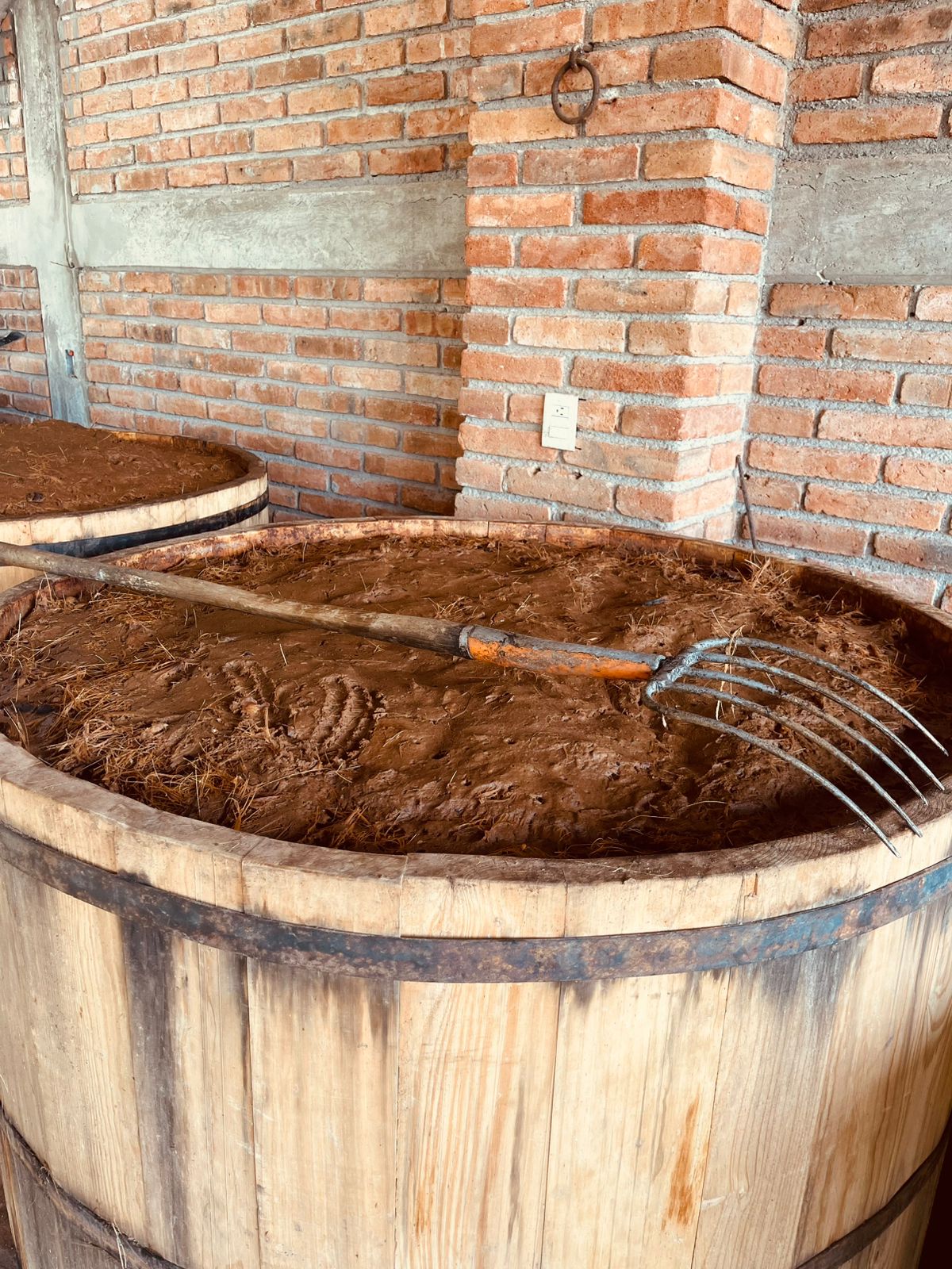 Mezcal
