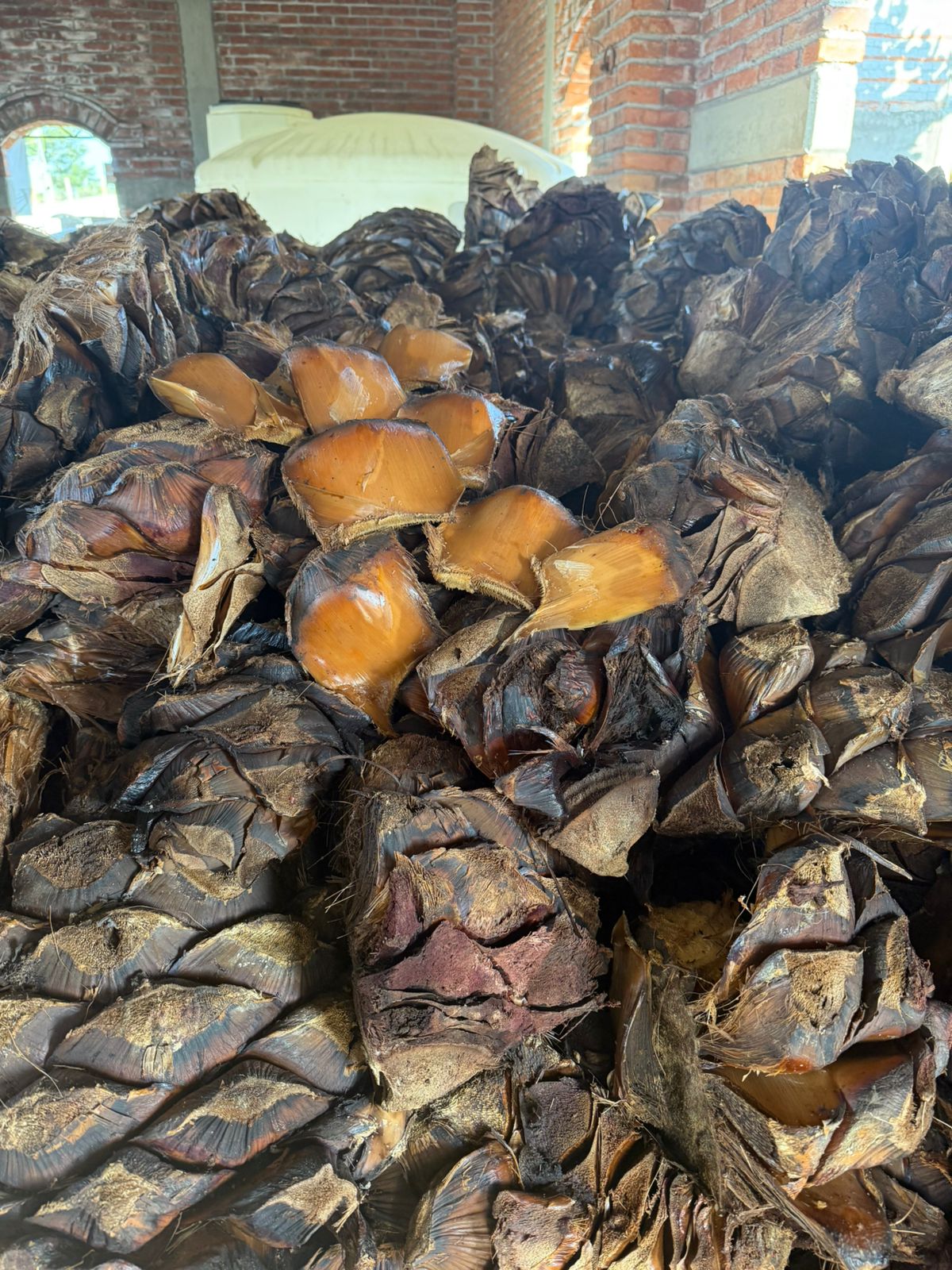 Oaxaca